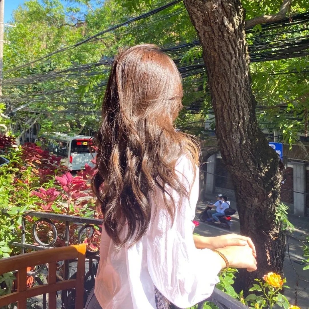 雪滴花