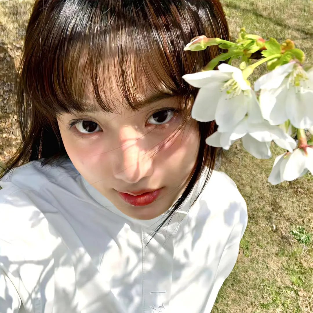 特蕾莎：死亡与生命